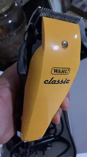 Foto de teste Wahl Classic